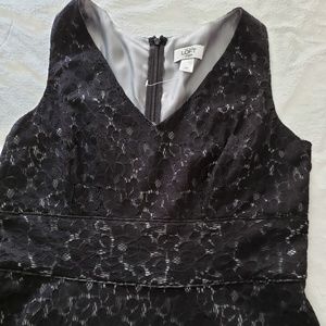 Black lace overlay LOFT petite dress
